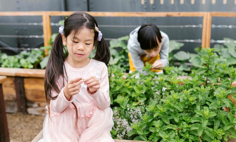 fairview gardens education farm